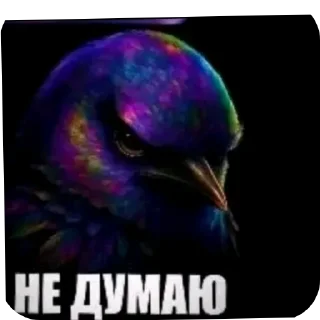 Telegram sticker 🖼 Сомнительные птицы @raaaffik