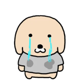 Video sticker ⭐ 누렁이 또또또또또또또또또 왔어요! @moe_sticker_bot