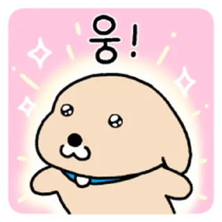Video sticker ⭐ 누렁이 또또또또또또또또또 왔어요! @moe_sticker_bot