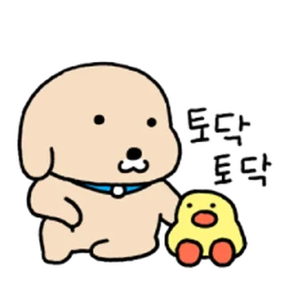 Video sticker ⭐ 누렁이 또또또또또또또또또 왔어요! @moe_sticker_bot