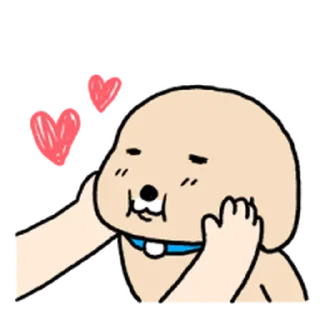 Телеграм стикер ⭐ 누렁이 또또또또또또또또또 왔어요! @moe_sticker_bot