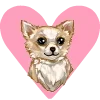 Video sticker 💗 ShprotaWigsEmoji_b...