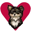 Video sticker ❤️ ShprotaWigsEmoji_b...