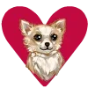 Video sticker ❤️ ShprotaWigsEmoji_b...
