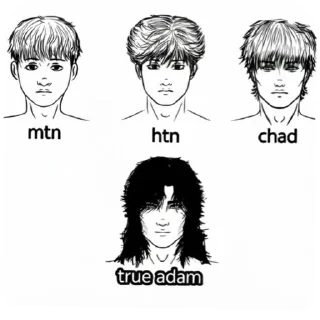 Video sticker 💇 ПоMOGGите