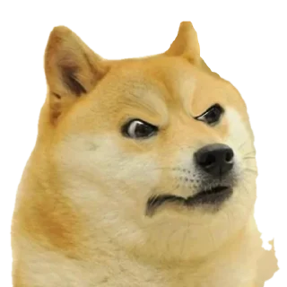 Telegram sticker 😏 Admin's Dog