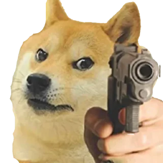 Telegram sticker 😡 Admin's Dog