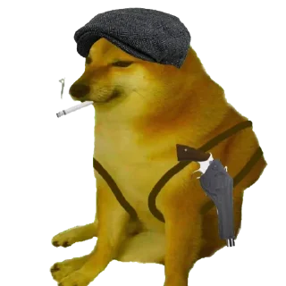 Telegram sticker 😎 Admin's Dog