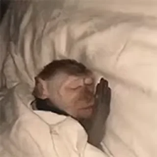 Sticker 💤 Pacotão dos Gifs que eu achei