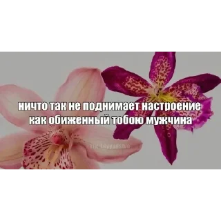 Telegram sticker 🤡 Sdvg