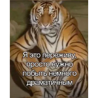 Telegram sticker 🤧 Sdvg