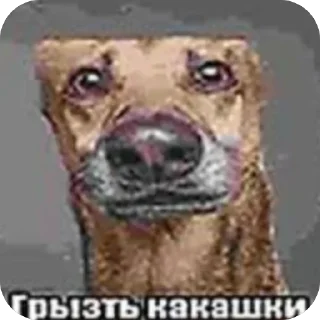 Telegram sticker 🫥 кошмарики