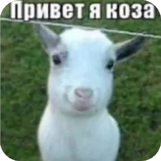 Telegram sticker 🫥 кошмарики