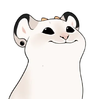 Video sticker 🙂 NebulaBySMU