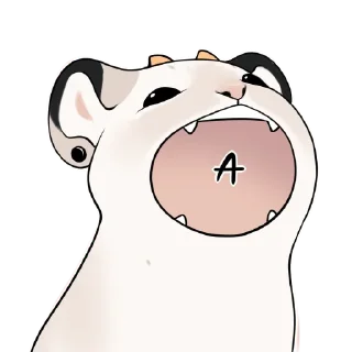Video sticker 🙂 NebulaBySMU