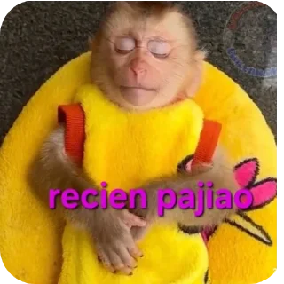 Video sticker 🖼 xud