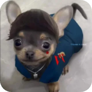 Телеграм стикер 👍 xud