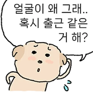 Video sticker ⭐ 개 백수 누롱지 @moe_sticker_bot