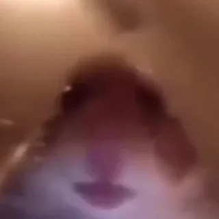 Telegram sticker 🙃 سفوح😁 @S_F3_H