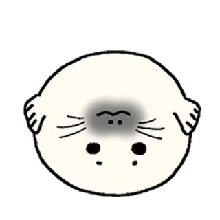 Video sticker ⭐ 콧구녕으로 말하는 하프물범