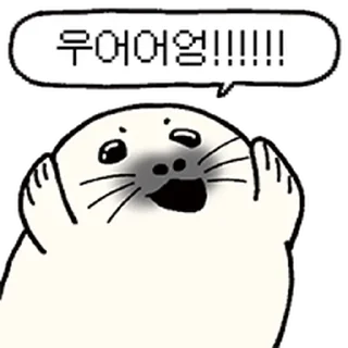 Video sticker ⭐ 콧구녕으로 말하는 하프물범