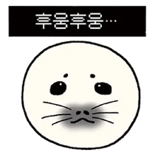 Video sticker ⭐ 콧구녕으로 말하는 하프물범