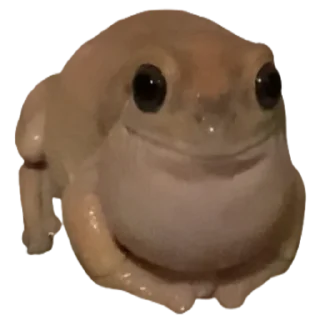 Telegram sticker 😊 frogs by @normtips @normsticks