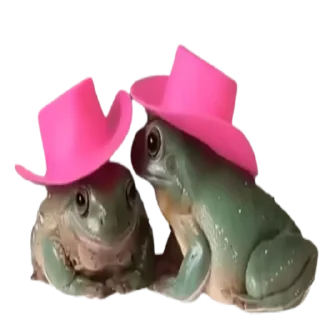 Video sticker 🤗 frogs by @normtips @normsticks