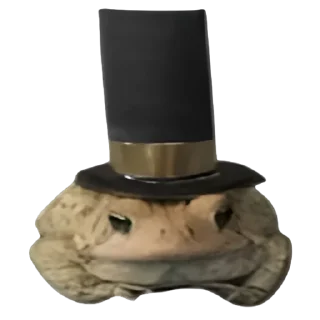 Telegram sticker 🥸 frogs by @normtips @normsticks