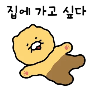 Video sticker 💬 춘식이는 집순이 By @KakaoEmoticon
