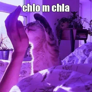 Telegram sticker 🤔 𝐊ᴇɴ 𝐊ᴀɴᴇᴋɪ's kang pack