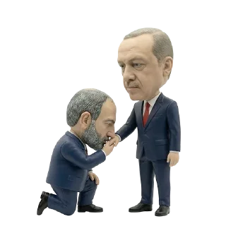 Video sticker 🤦‍♂️ Pashinyan