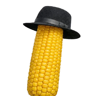 Telegram sticker 🌽 Pashinyan