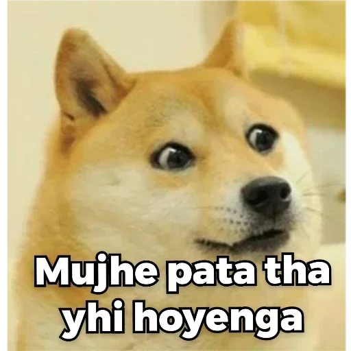 Телеграм стикер 🙌 Habibi pack @alfez45