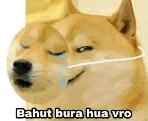 Телеграм стикер 🤔 Habibi pack @alfez45