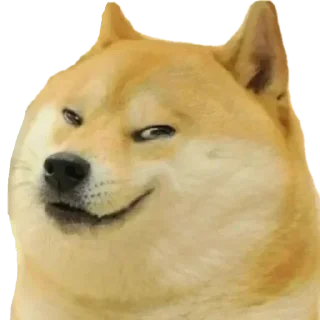 Video sticker 😏 Habibi pack @alfez45