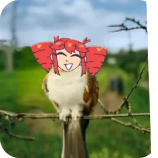 Sticker 🐦 uhh?