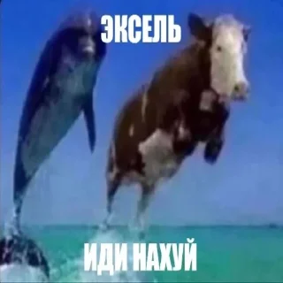 Telegram sticker 🙄 swaga pack