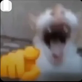 Sticker 🤣 swaga pack