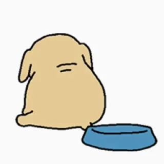 Video sticker 😊 蘸了炸醬的小狗