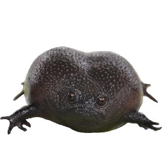 Sticker ☹️ PACK DA MARIANA 3.0 🤰🏿 :: @fStikBot