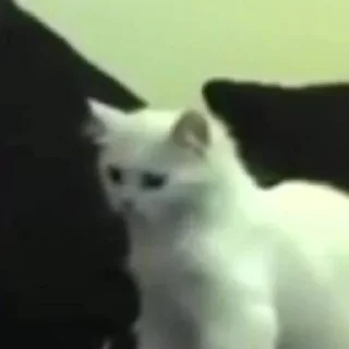 Sticker 😶 شانكس ( ههه ) 
@f_alit