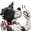 Telegram stiker 👌 Vin the Bordeaux Collie