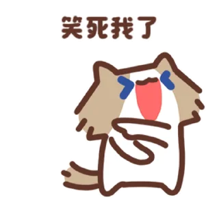 Video sticker 🐰 月薪喵一