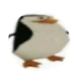 Video sticker 🌾 @s3per sticker pack💀🤫🧏🏻‍♂️