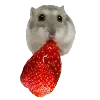 Sticker 🐹 Hampter
