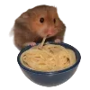 Video sticker 🍽️ Hampter