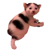 Sticker 🐈 Hampter