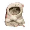 Sticker 🧊 Hampter
