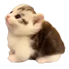 Sticker 🐈 Hampter